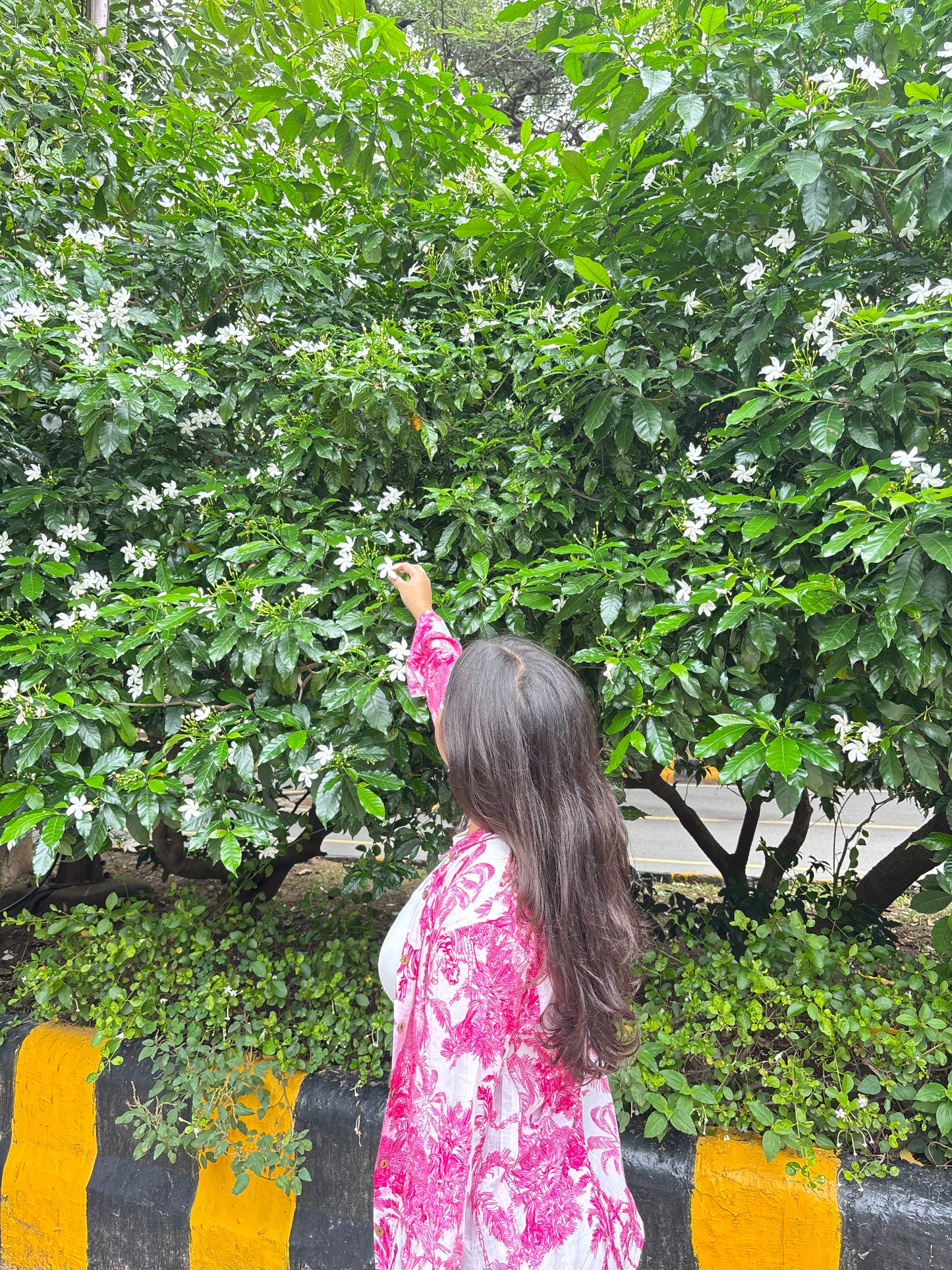 Pink Porcelain Print Shirt